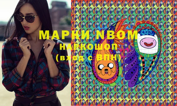 шишки Абинск