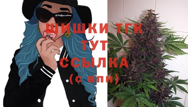 шишки Абинск
