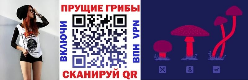 Псилоцибиновые грибы Cubensis  Вытегра 